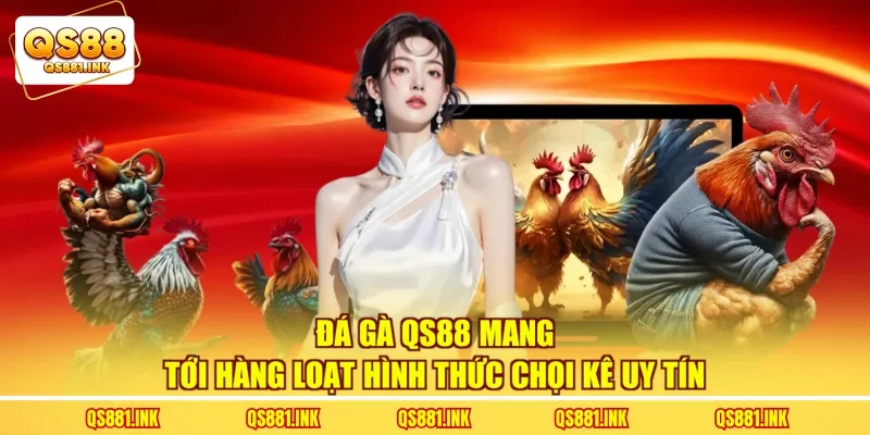 Đá gà QS88 mang tới hàng loạt hình thức chọi kê uy tín