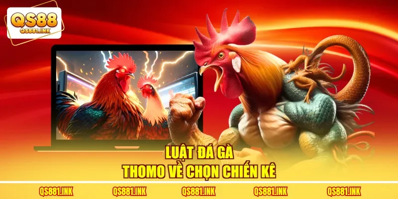 Luật đá gà thomo về chọn chiến kê